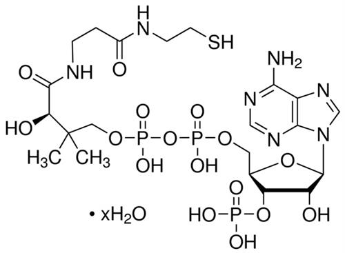 C4282-100MG | COENZYME A HYDRATE