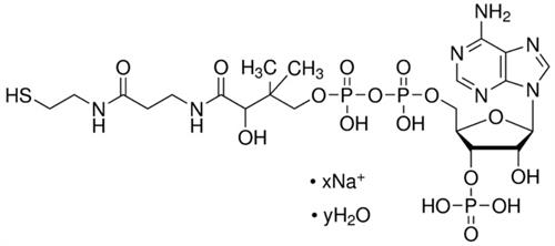 C4780-10MG | COENZYME A SODIUM SALT HYDRATE BIOREAGENT SUITABLE