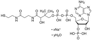C4780-10MG | COENZYME A SODIUM SALT HYDRATE BIOREAGENT SUITABLE