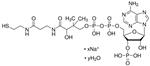 C4780-10MG | COENZYME A SODIUM SALT HYDRATE BIOREAGENT SUITABLE