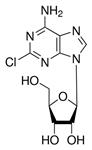 C5134-10MG | 2 CHLOROADENOSINE