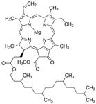 C6144-1MG | Chlorophyll a
