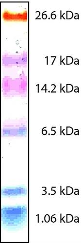 C6210-1VL | COLOR MARKER ULTRA LOW RANGE M.W. 1 060 26 600