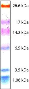 C6210-1VL | COLOR MARKER ULTRA LOW RANGE M.W. 1 060 26 600