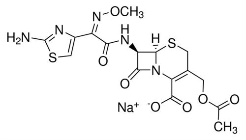C7039-1G | CEFOTAXIME SODIUM SALT PLANT CELL CULTURE TESTED B