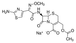 C7039-1G | CEFOTAXIME SODIUM SALT PLANT CELL CULTURE TESTED B