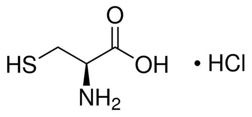 C7477-25G | L CYSTEINE HYDROCHLORIDE BIOREAGENT ANHYDROUS FROM
