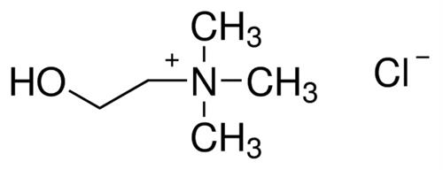 C7527-100G | CHOLINE CHLORIDE SUITABLE FOR CELL CULTURE BIOREAG