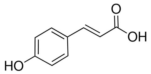 C9008-25G | p Coumaric acid