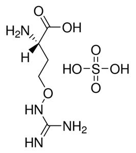 C9758-1G | L CANAVANINE SULFATE CRYSTALLINE