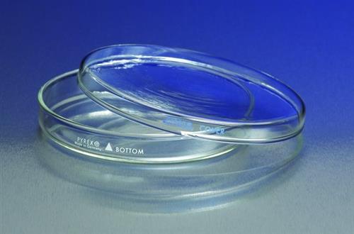 CLS3160101-12EA | PYREX R PETRI DISHES COMPLETE O.D. H 100 MM 15 MM