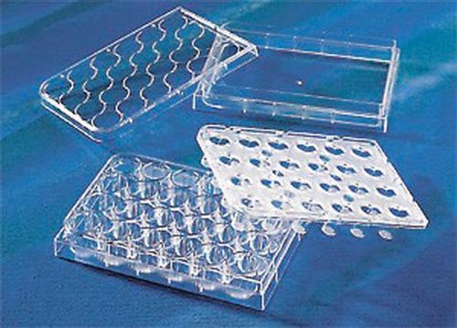 CLS3396-2EA | CORNING R HTS TRANSWELL R 24 MEMBRANE 0.4 UM MEMBR