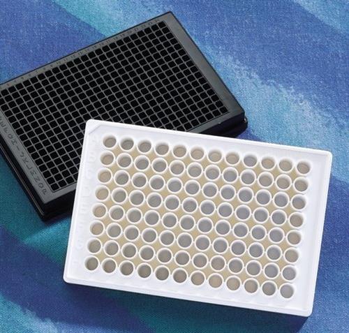 CLS3650-100EA | CORNING R NBS TM 96 WELL PLATES WITHOUT LIDS FLUOR