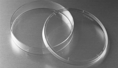 CLS430167-100EA | CORNING R TISSUE CULTURE TREATED CULTURE DISHES D