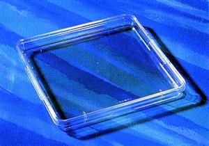CLS431111-16EA | CORNING R SQUARE BIOASSAY DISHES WITHOUT HANDLES N