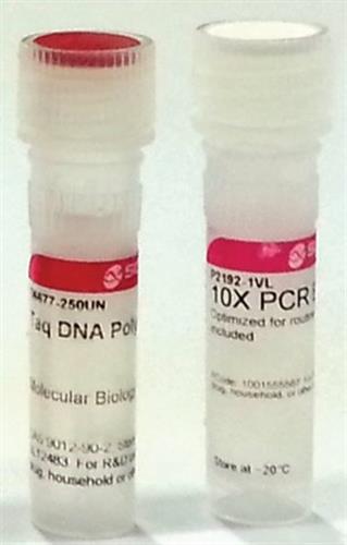 D1806-250UN | TAQ DNA POLYMERASE WITH 10X REACTION BUFFER CONTAI
