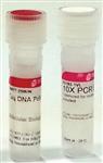 D1806-250UN | TAQ DNA POLYMERASE WITH 10X REACTION BUFFER CONTAI