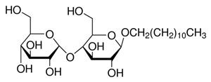 D4641-1G | N DODECYL B D MALTOSIDE