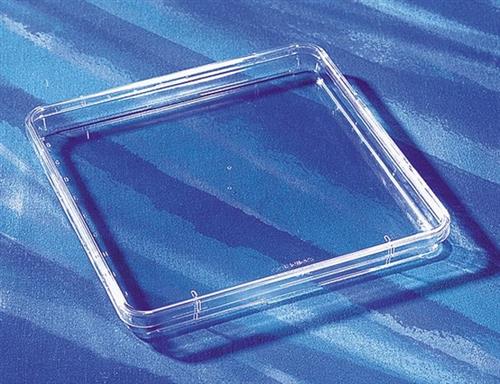 D4803-1CS | NUNC R BIOASSAY DISH WITH LID L W H 245MM 245MM 25