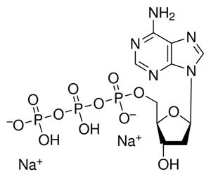D6500-10MG | 2 DEOXYADENOSINE 5 TRIPHOSPHATE DISODIUM