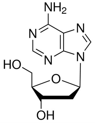 D7400-5G | 2 DEOXYADENOSINE MONOHYDRATE