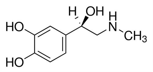 E4250-1G | EPINEPHRINE
