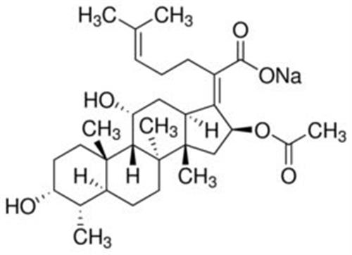 F0881-5G | FUSIDIC ACID SODIUM