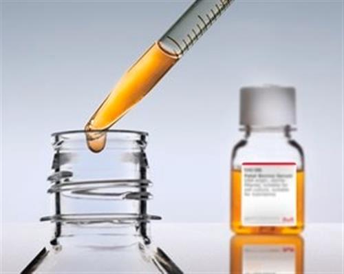 F4135-100ML | FETAL BOVINE SERUM HEAT INACTIVATED USA ORIGIN STE