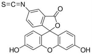 F4274-50MG | FLUORESCEIN ISOTHIOCYANATE ISOMER I 97.5 HPLC