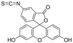 F4274-50MG | FLUORESCEIN ISOTHIOCYANATE ISOMER I 97.5 HPLC