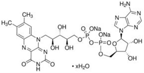 F6625-250MG | FLAVIN ADENINE DINUCLEOTIDE DISODIUM SALT HYDRATE