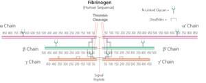 F8630-5G | FIBRINOGEN TYPE I S FROM BOVINE PLASMA