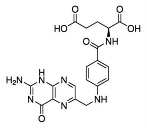 F8758-5G | FOLIC ACID BIOREAGENT SUITABLE FOR CELL CULTURE SU