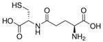 G0903-100MG | G GLU CYS TRIFLUOROACETATE