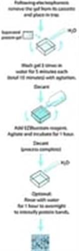 G1041-3.8L | EZBLUE GEL STAINING REAGENT