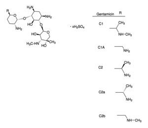 G1264-1G | GENTAMICIN SULFATE SALT BIOREAGENT SUITABLE FOR CE