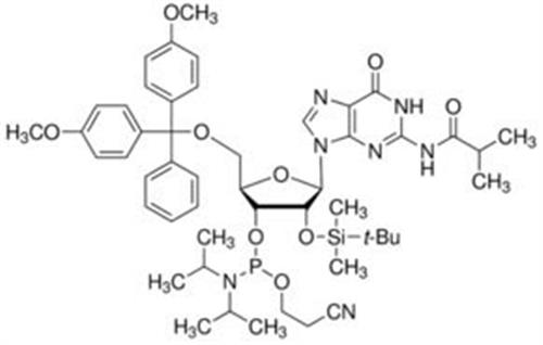 G211030-1G | DMT 2 O TBDMS RG IB AMIDITE 1G ABI