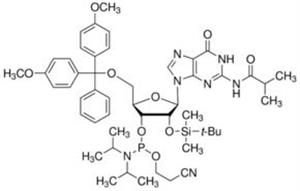 G211030-1G | DMT 2 O TBDMS RG IB AMIDITE 1G ABI