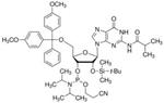 G211030-1G | DMT 2 O TBDMS RG IB AMIDITE 1G ABI