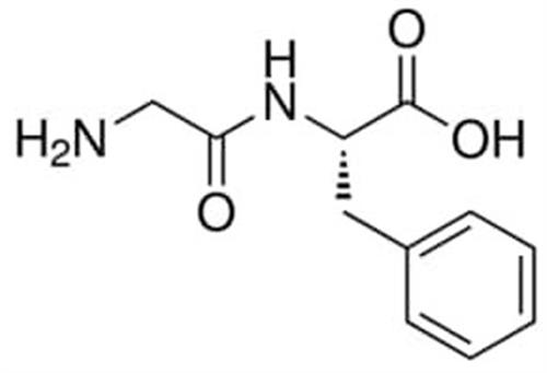 G2752-1G | GLY PHE