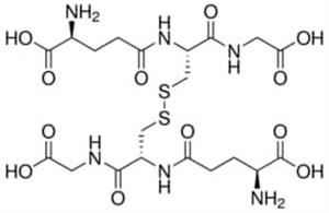 G4376-500MG | L GLUTATHIONE OXIDIZED 98 HPLC