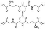 G4376-500MG | L GLUTATHIONE OXIDIZED 98 HPLC