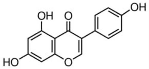 G6649-25MG | GENISTEIN SYNTHETIC
