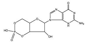 G7504-25MG | GUANOSINE 3 5 CYCLIC MONOPHOSPHATE FREE ACID