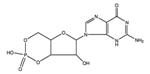 G7504-25MG | GUANOSINE 3 5 CYCLIC MONOPHOSPHATE FREE ACID