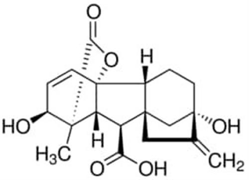 G7645-1G | GIBBERELLIC ACID BIOREAGENT 90 GIBBERELLIN A3 BASI