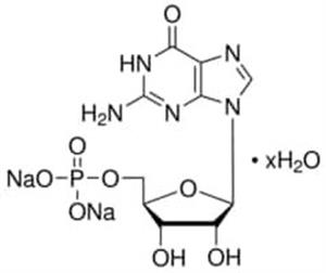 G8377-25G | GUANOSINE 5 MONOPHOSPHATE SODIUM