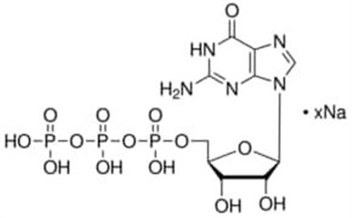 G8877-25MG | GUANOSINE 5 TRIPHOSPHATE SODIUM PREPARED ENZYMATIC