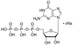 G8877-25MG | GUANOSINE 5 TRIPHOSPHATE SODIUM PREPARED ENZYMATIC
