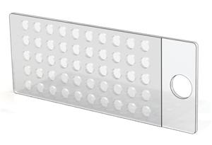 GBL103350-20EA | CULTUREWELL TM CHAMBERED COVERGLASS 50 WELLS 3 MM